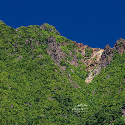 朝日岳　定点　緑