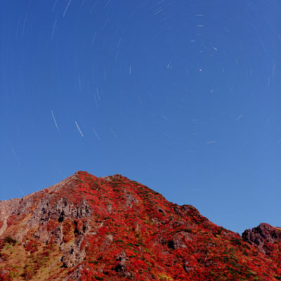 月光　紅