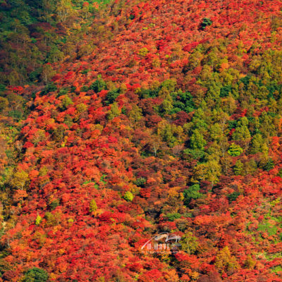 隠居倉